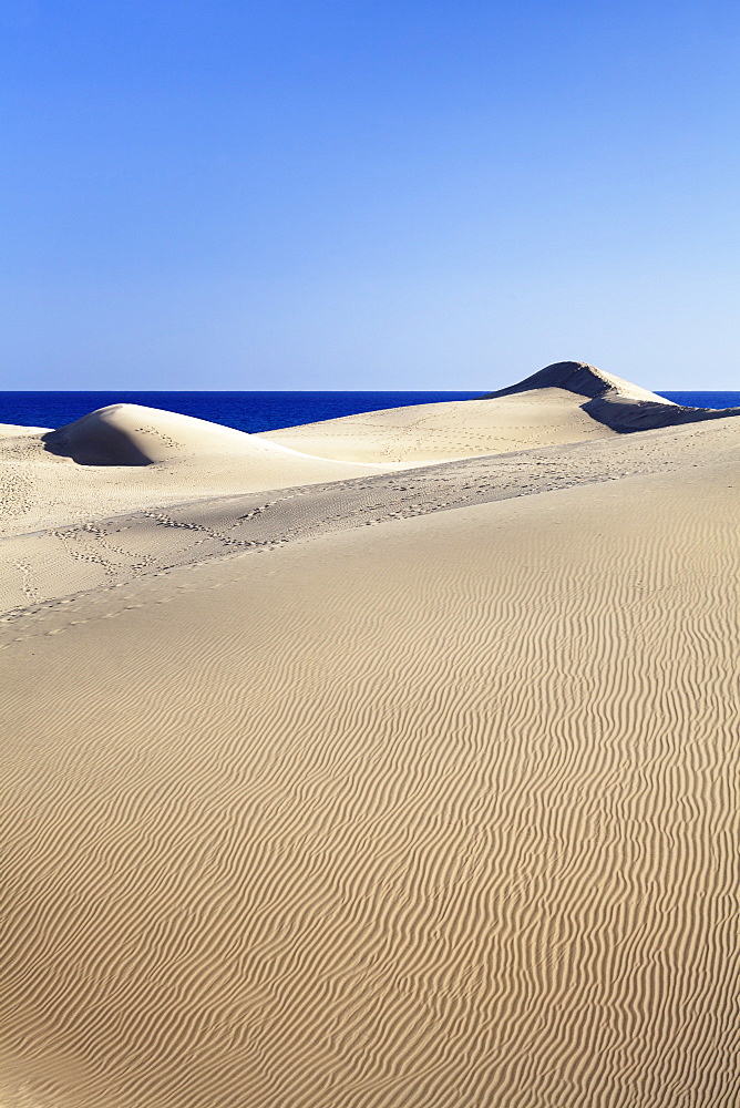 Sand dunes, Maspalomas, Gran Canaria, Canary Islands, Spain, Atlantic, Europe