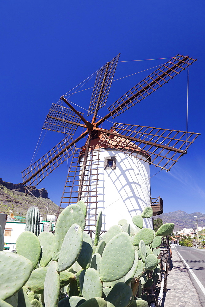 Windmill and cactus, Mogan, Gran Canaria, Canary Islands, Spain, Europe