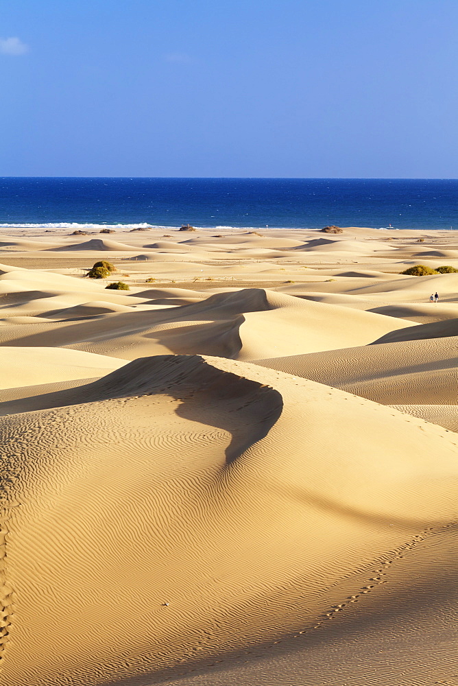 Sand dunes of Maspalomas, Maspalomas, Gran Canaria, Canary Islands, Spain, Atlantic, Europe