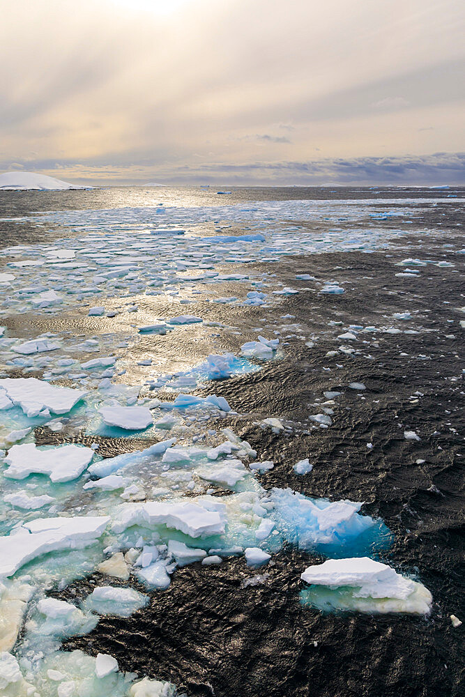 Ripples and sea ice, evening light, off Booth Island, entrance to Lemaire Channel, Antarctic Peninsula, Antarctica, Polar Regions