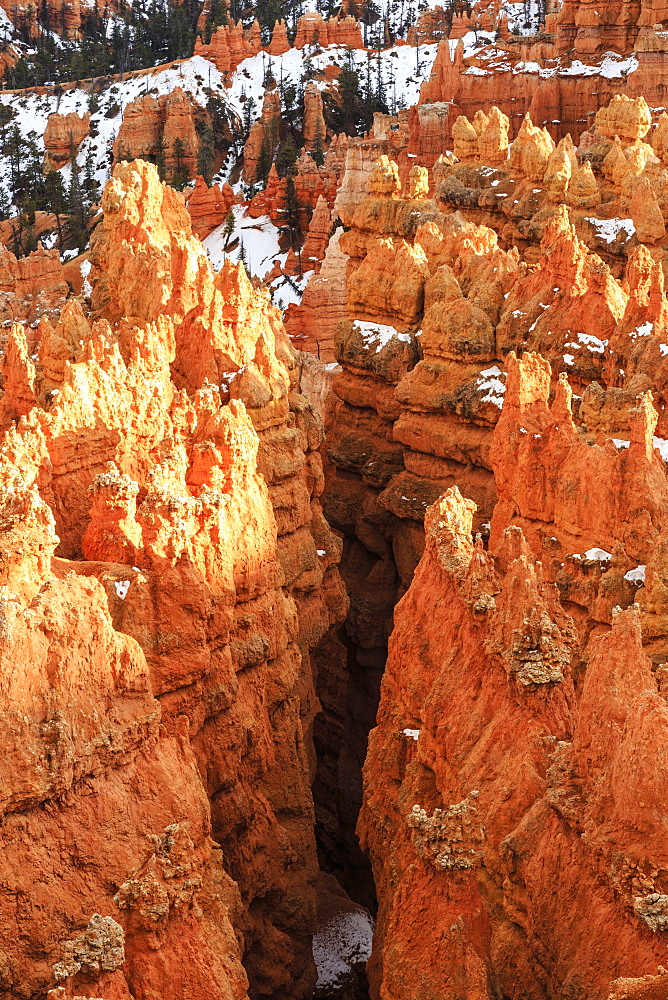 Hoodoos with snow lit by late afternoon sun, from Rim Trail near Sunset Point, Bryce Canyon National Park, Utah, United States of America, North America