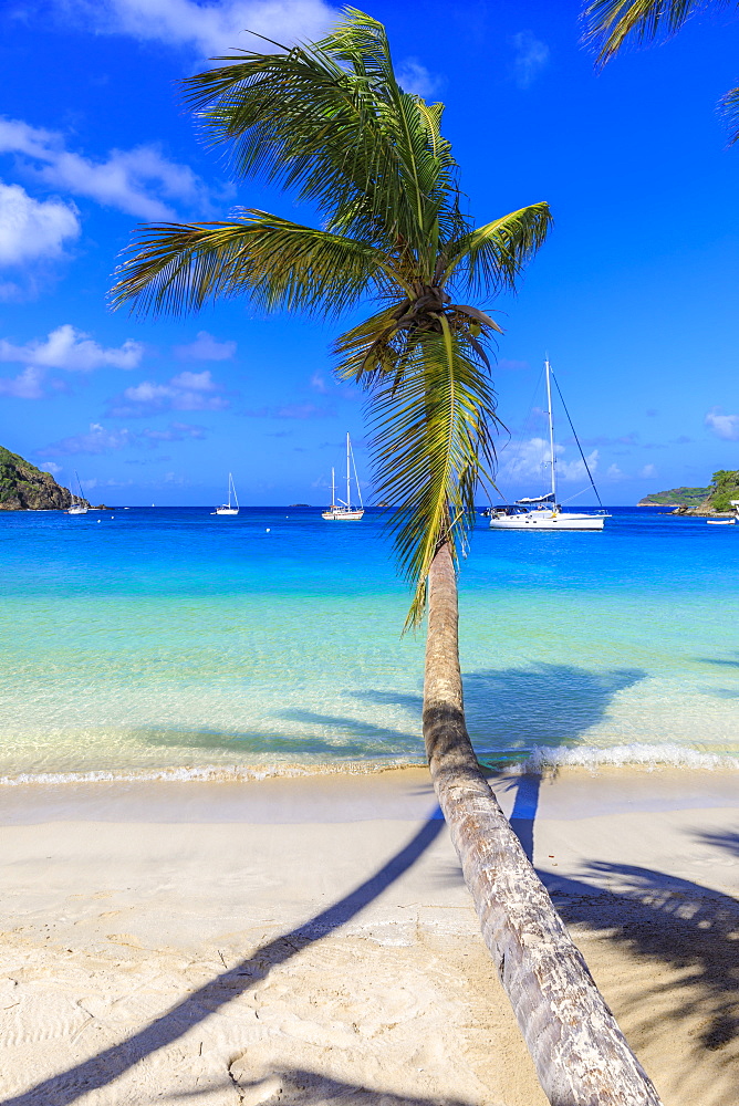 Stunning Saltwhistle Bay, yachts, white sand beach, blue sea, overhanging palm trees, Mayreau, Grenadines, St. Vincent and The Grenadines, Windward Islands, West Indies, Caribbean, Central America