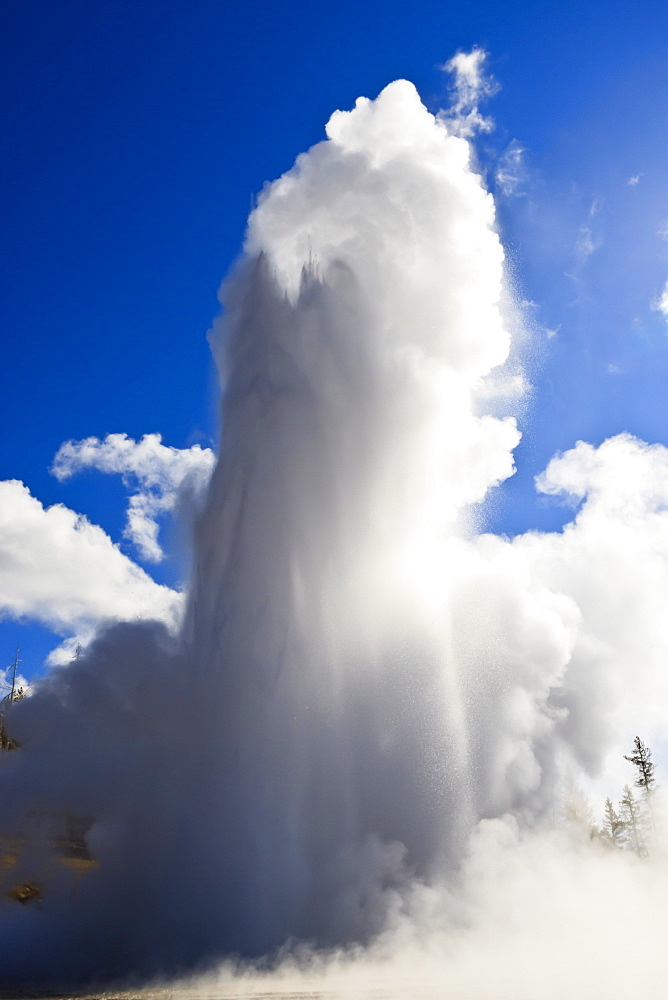 Grand Geyser erupts and steam blocks the sun, Upper Geyser Basin, Yellowstone National Park, UNESCO World Heritage Site, Wyoming, United States of America, North America