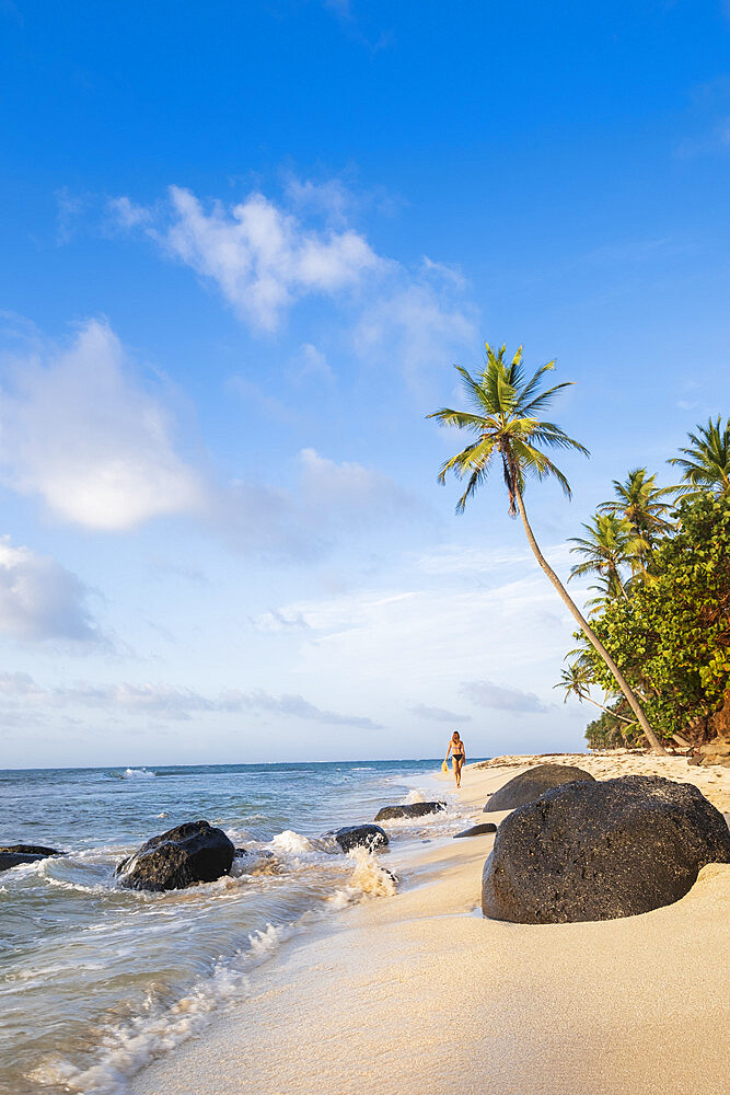 A local man walking on North Beach, Little Corn Island, Islas del Maiz (Corn Islands), Nicaragua, Central America