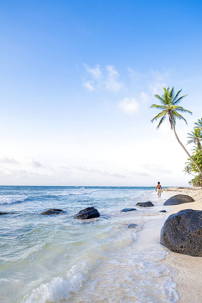 A local man carrying coconuts on North Beach, Little Corn Island, Islas del Maiz (Corn Islands), Nicaragua, Central America