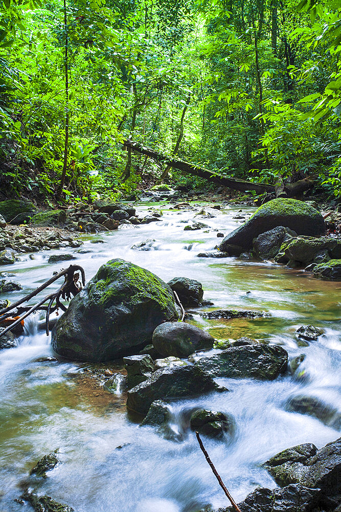 Rainforest stream in Corcovado National Park, Osa Peninsula, Costa Rica, Central America