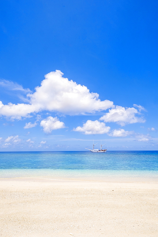 A traditional wooden Bugis pinisi ship moored off Nailaka beach, Rhun, Banda Islands, Maluku, Spice Islands, Indonesia, Southeast Asia, Asia