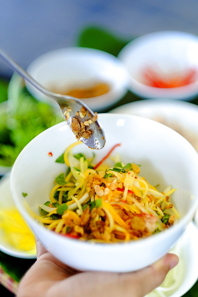 Spicy salad, Vietnamese food, Vietnam, Indochina, Southeast Asia, Asia