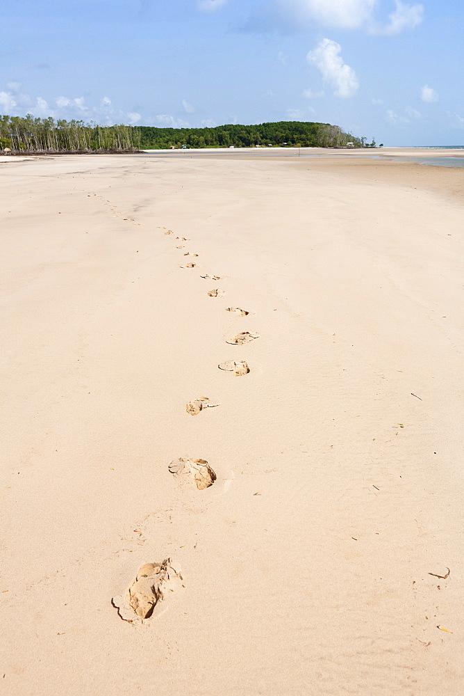 Beach on Marano Island in the Brazilian Amazon, Brazil, South America