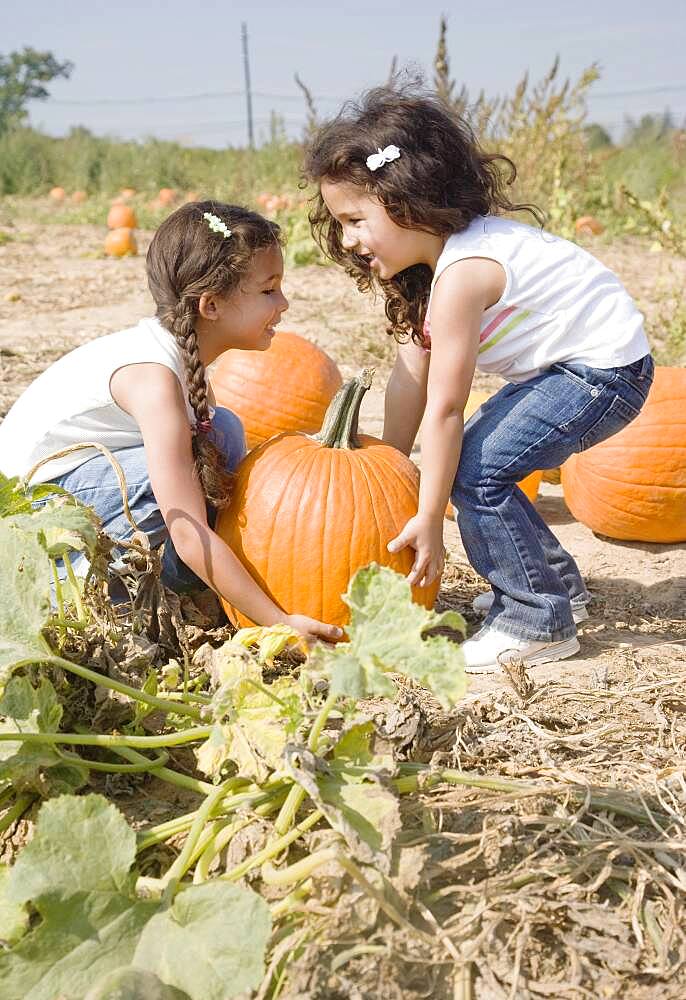 Hispanic sisters picking up pumpkin