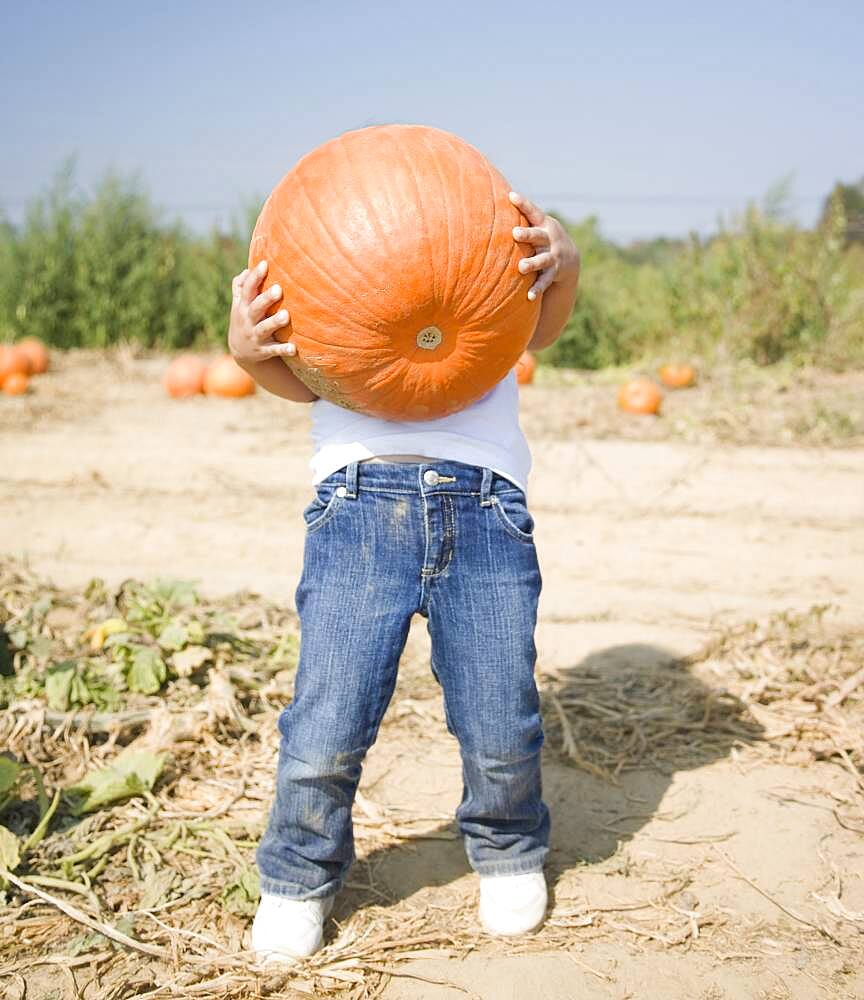 Hispanic child holding pumpkin