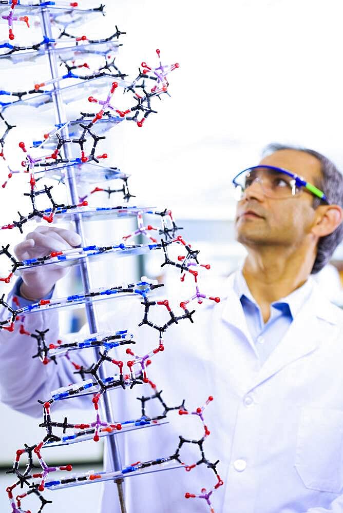 Indian male scientist holding DNA model