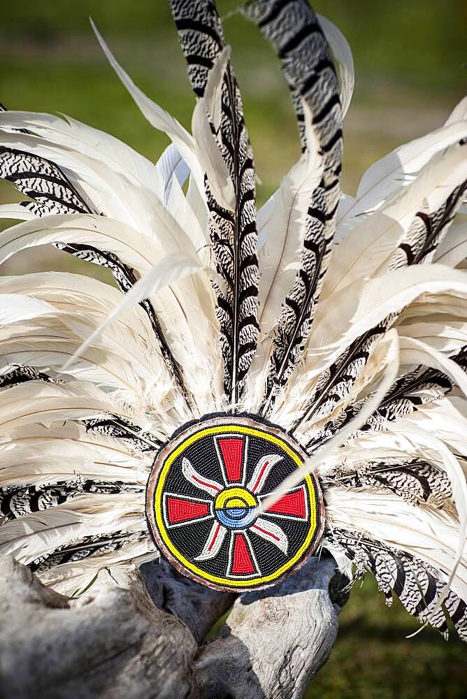 Traditional headdress on wooden log