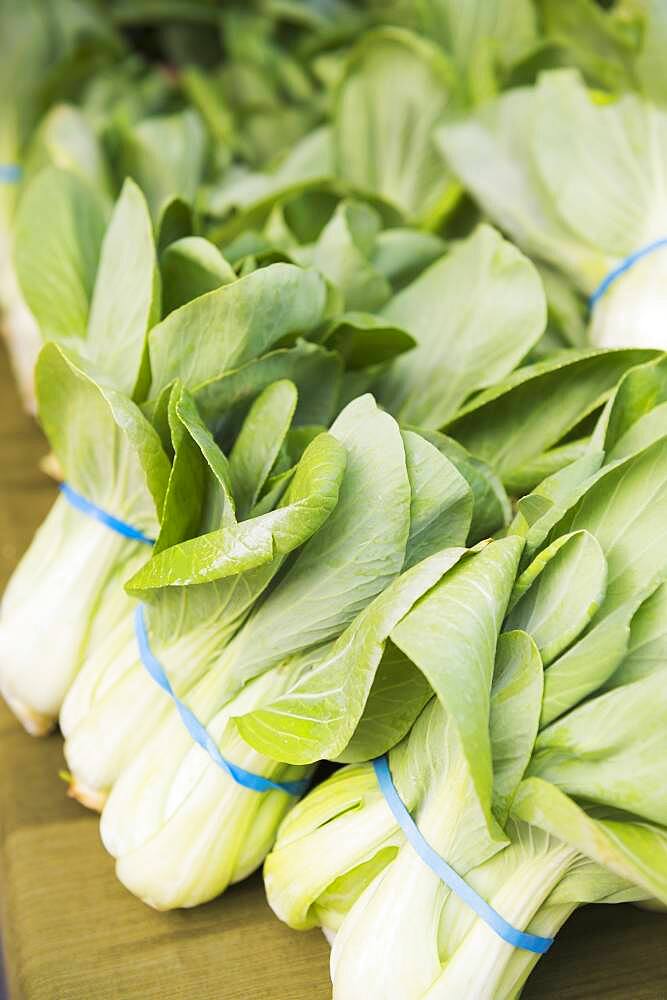 Close up of bunches of leeks