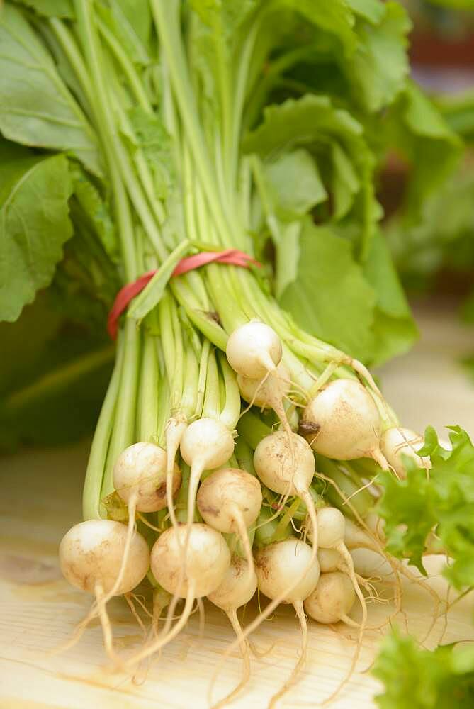 Close up of fresh vegetables