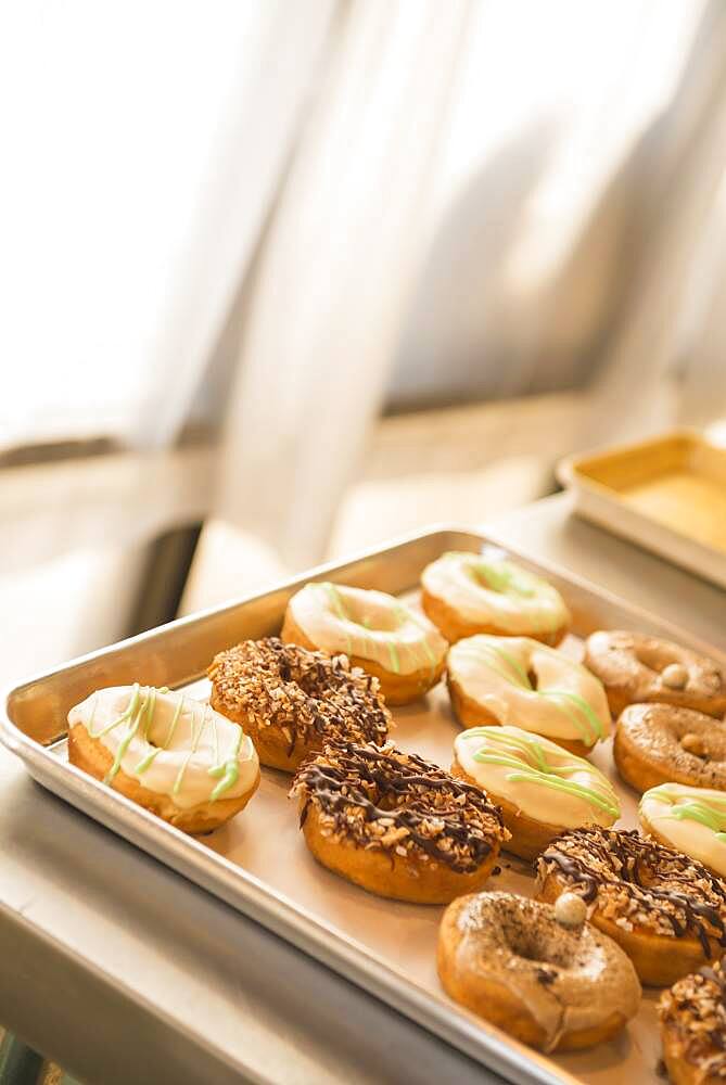 Close up of donuts for sale in bakery