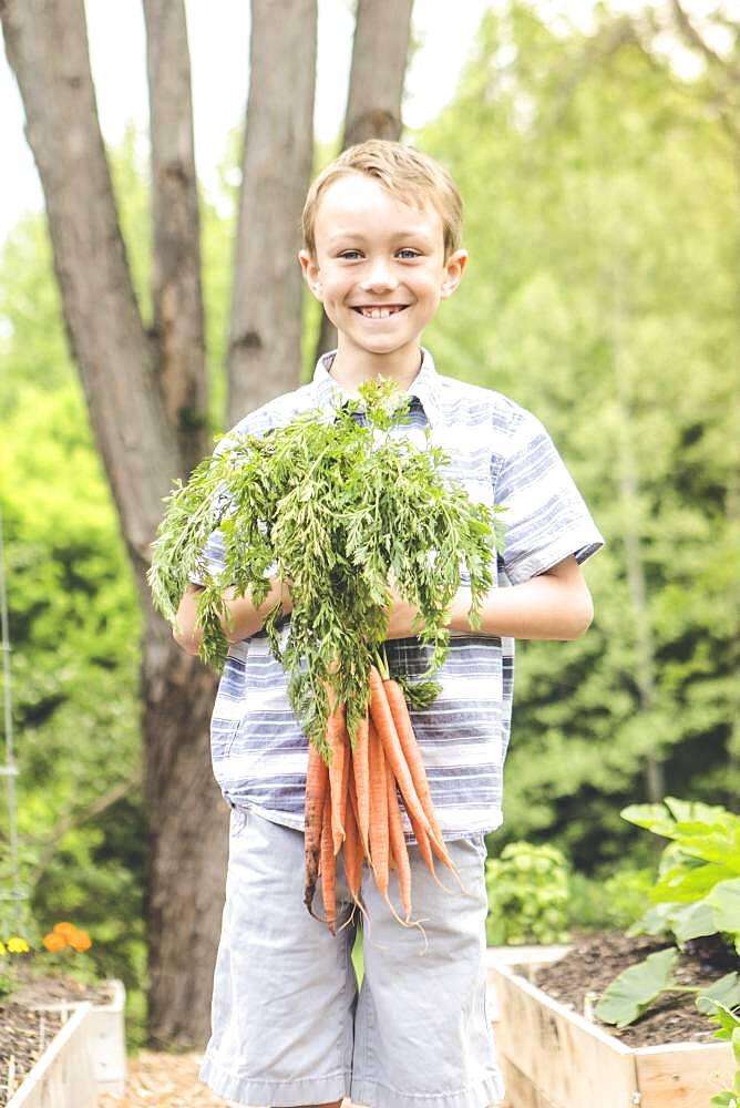 Caucasian boy holding carrots in garden