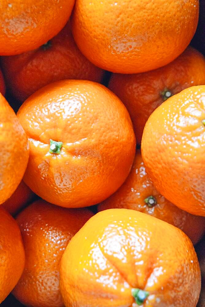 Close up of pile of oranges