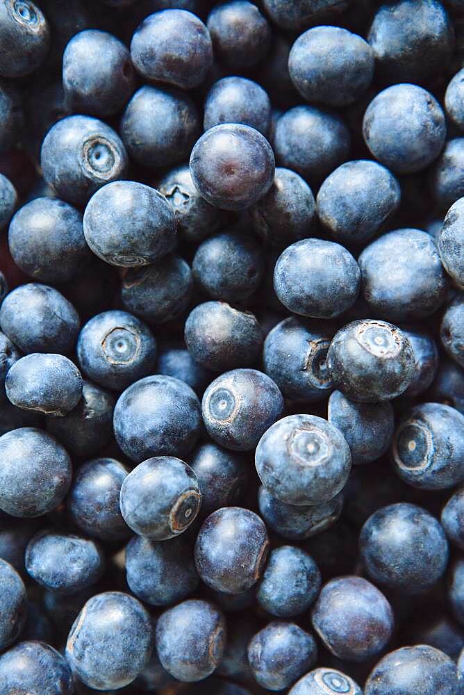 Close up of pile of blueberries