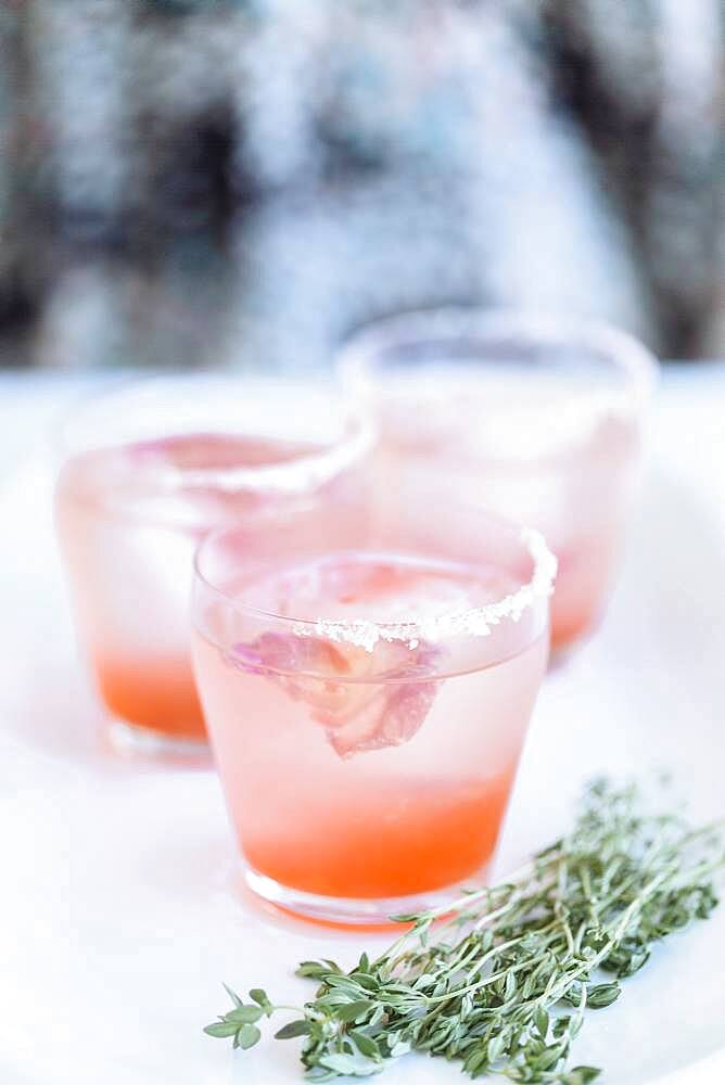 Close up of cocktails and fresh herbs