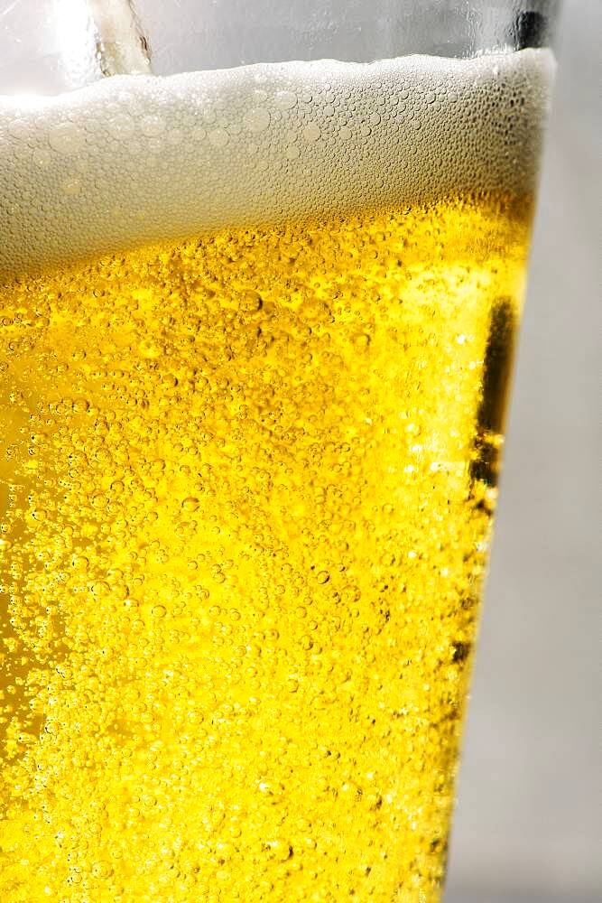 Close up of carbonated beer in glass