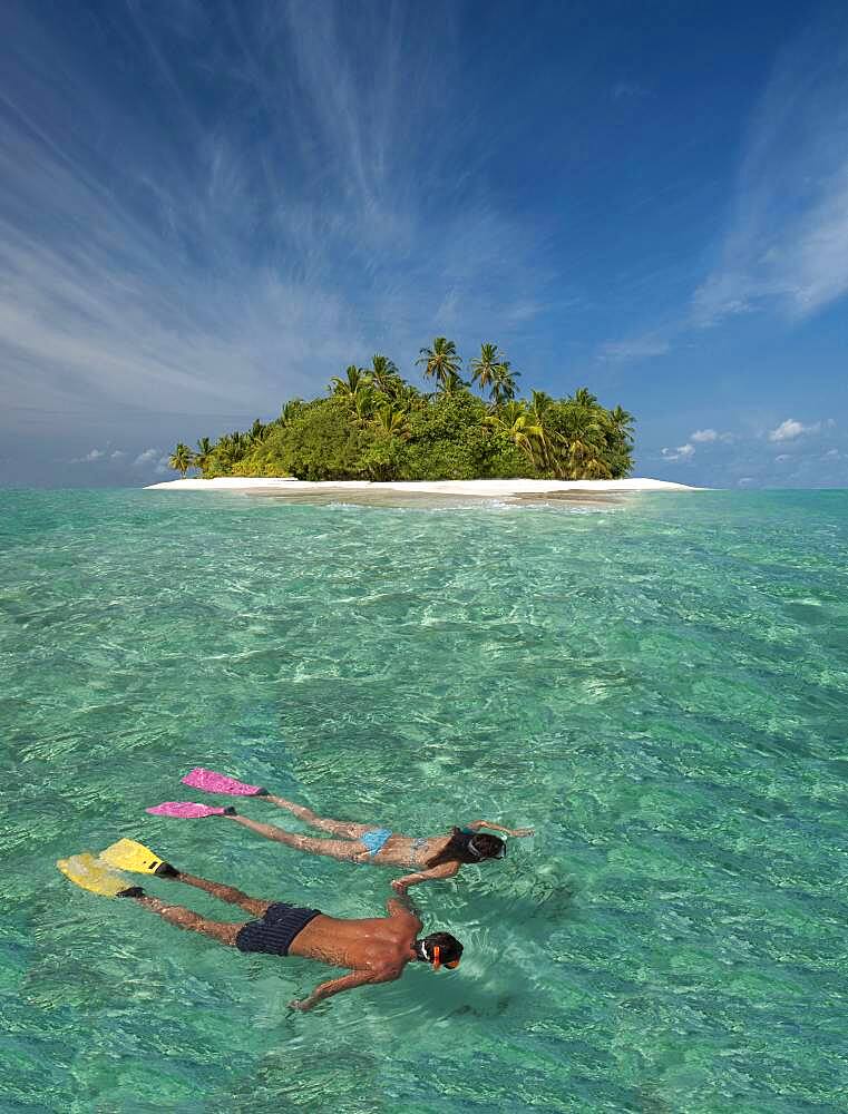 Caucasian couple snorkeling off tropical island