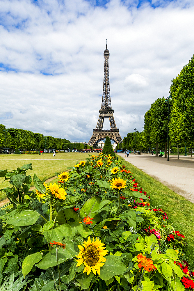 Row of flowers near Eiffel Tower, Paris, Ile de France, France