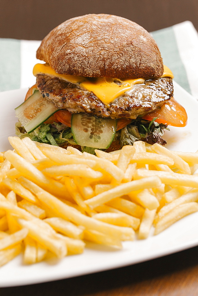 Cheeseburger and french fries