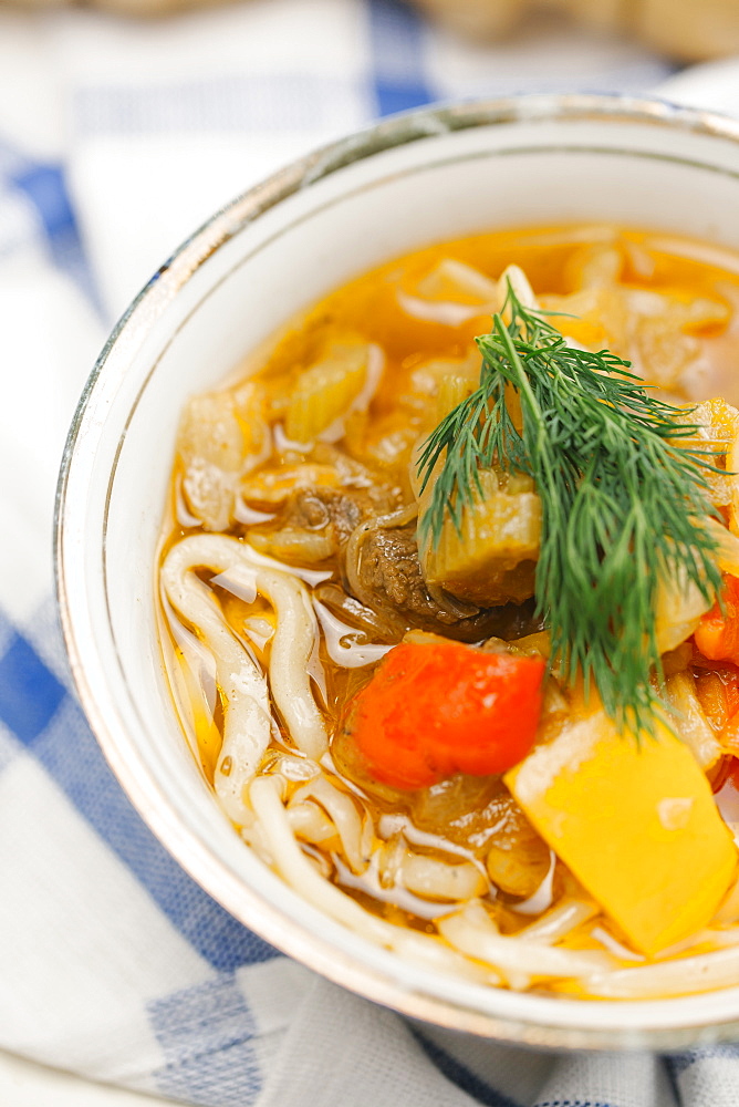 Garnish on bowl of soup with noodles