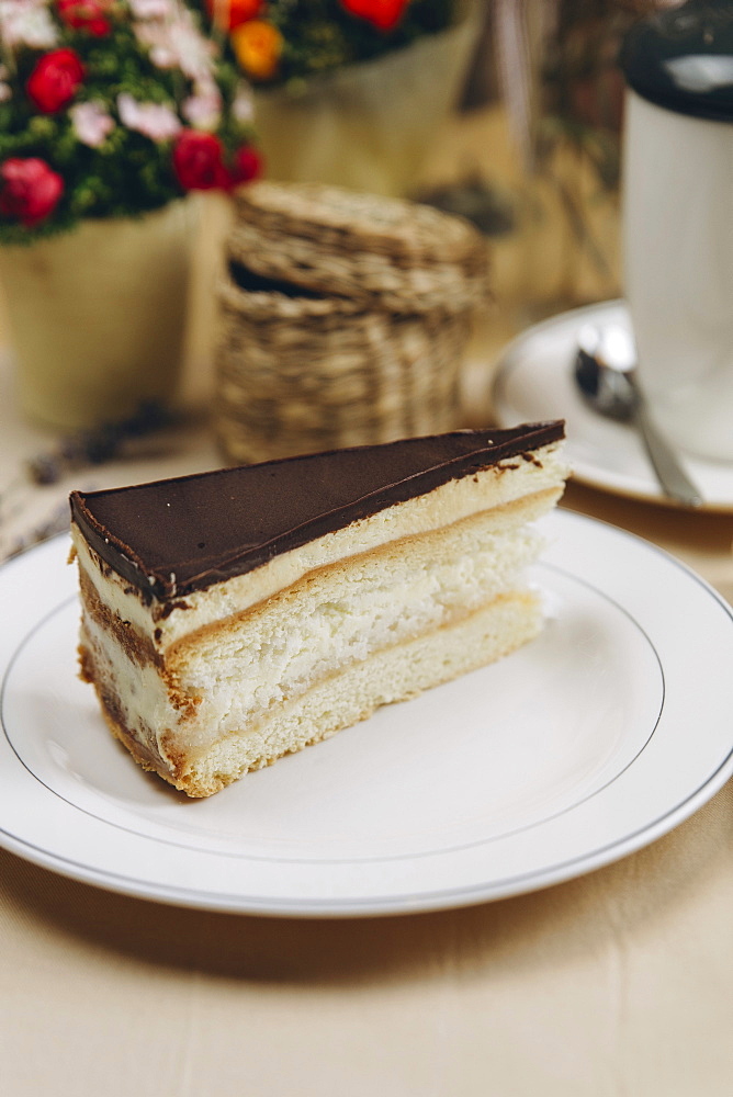 Slice of cake with chocolate icing on plate