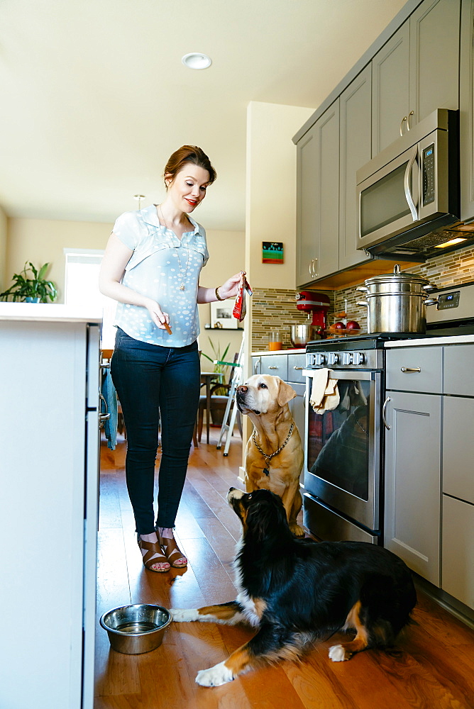 Woman training dogs in domestic kitchen