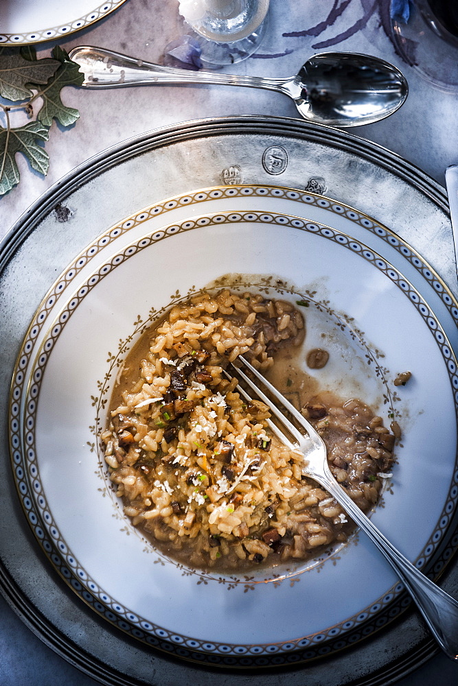 Fork in mushroom risotto