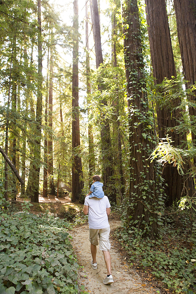 Father carrying son on shoulders on forest path