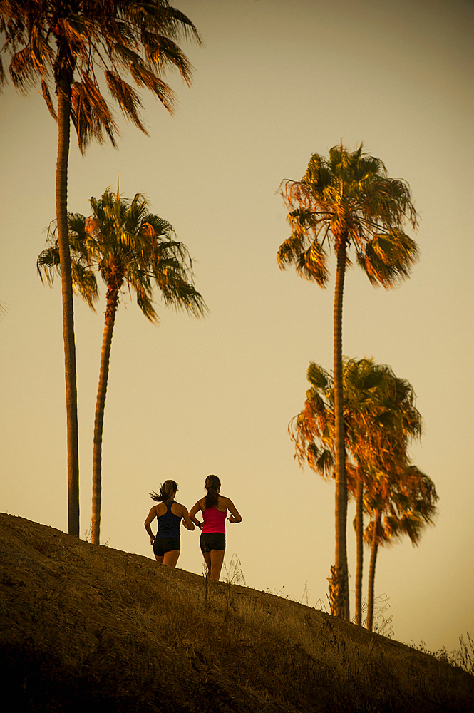 Mixed Race mother and daughter running under palm trees