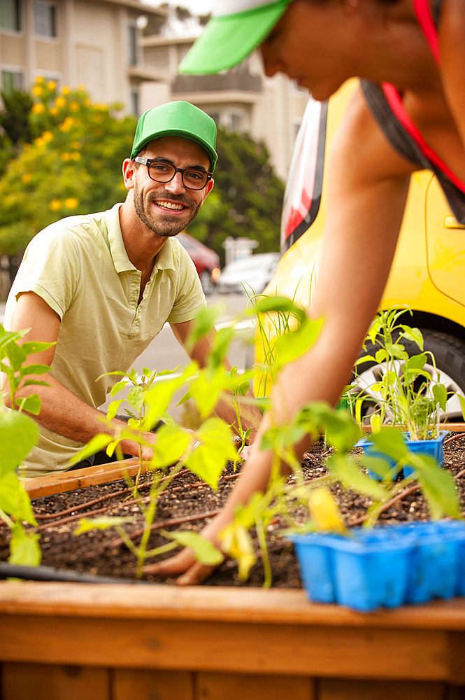 Hispanic couple planting in raised garden