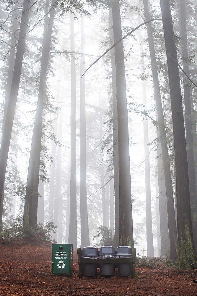 Recycling bin and trash cans in forest