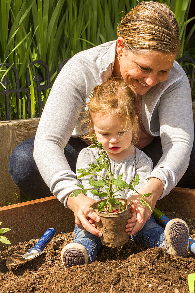 Caucasian mother and daughter planting seedling in garden