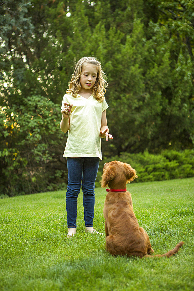 Caucasian girl training dog in grass