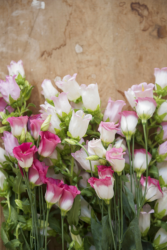 Flowers laying on wooden table