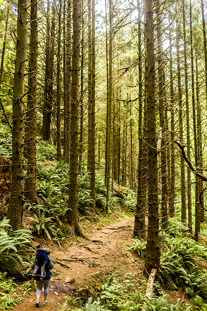 Caucasian mother carrying daughter on forest path