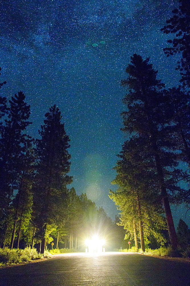 Glowing lights in forest road