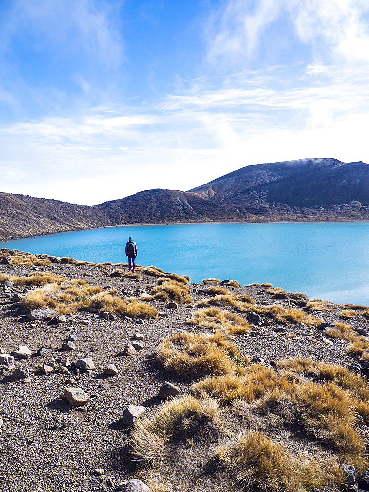 New Zealand, Waikato, Tongariro National Park, Hiker standing by lake in Volcanic landscape