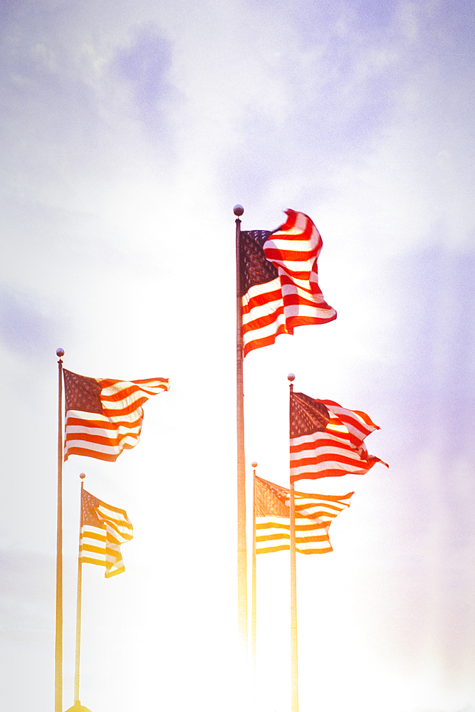 American flags blowing on wind against sky at sunset