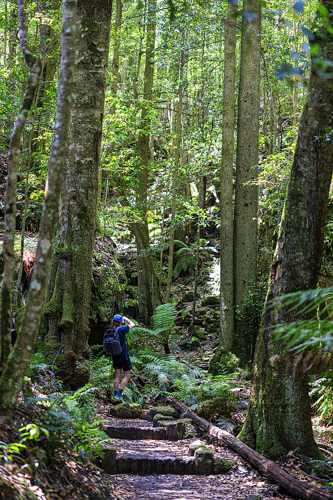 Rear view of hiker taking pictures in Grand Canyon Blackheath, Blackheath, New South Wales, Australia