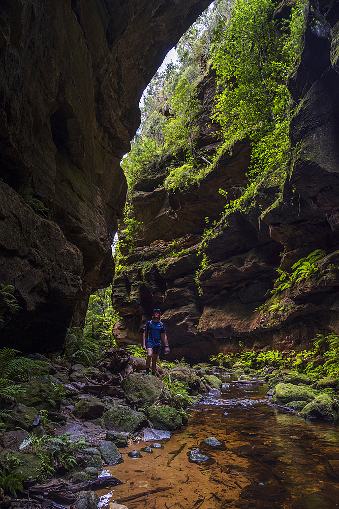 Young male hiker exploring Grand Canyon Blackheath, Blackheath, New South Wales, Australia