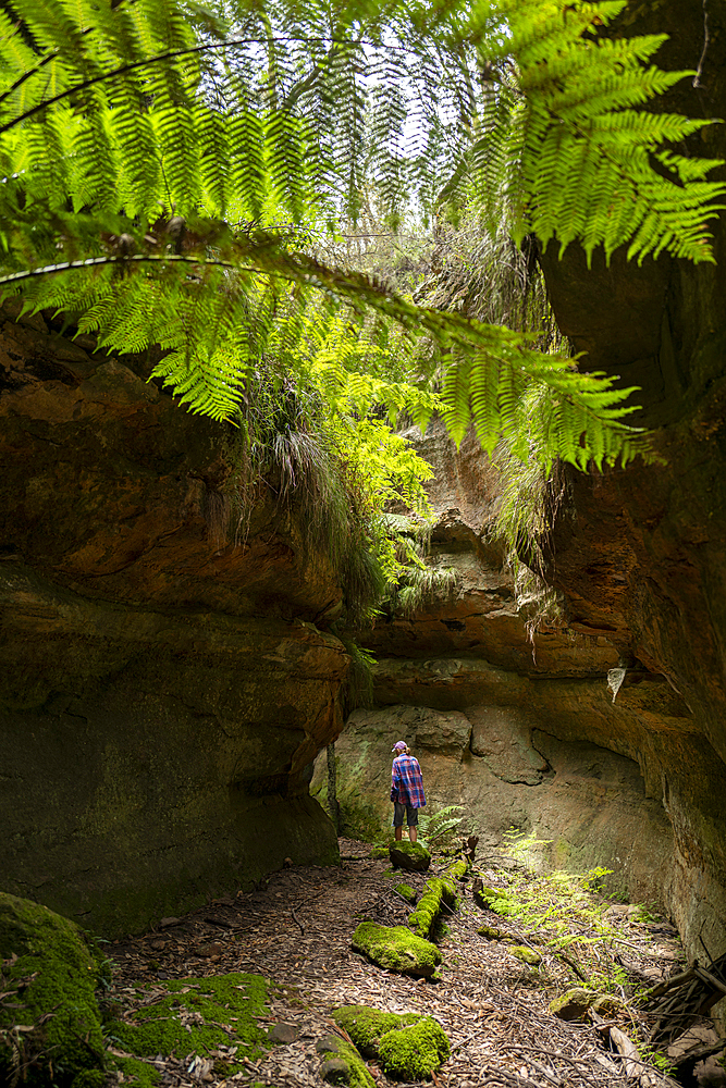 Rear view of female hiker exploring canyon at Ferntree Gully, Rylstone, New South Wales, Australia