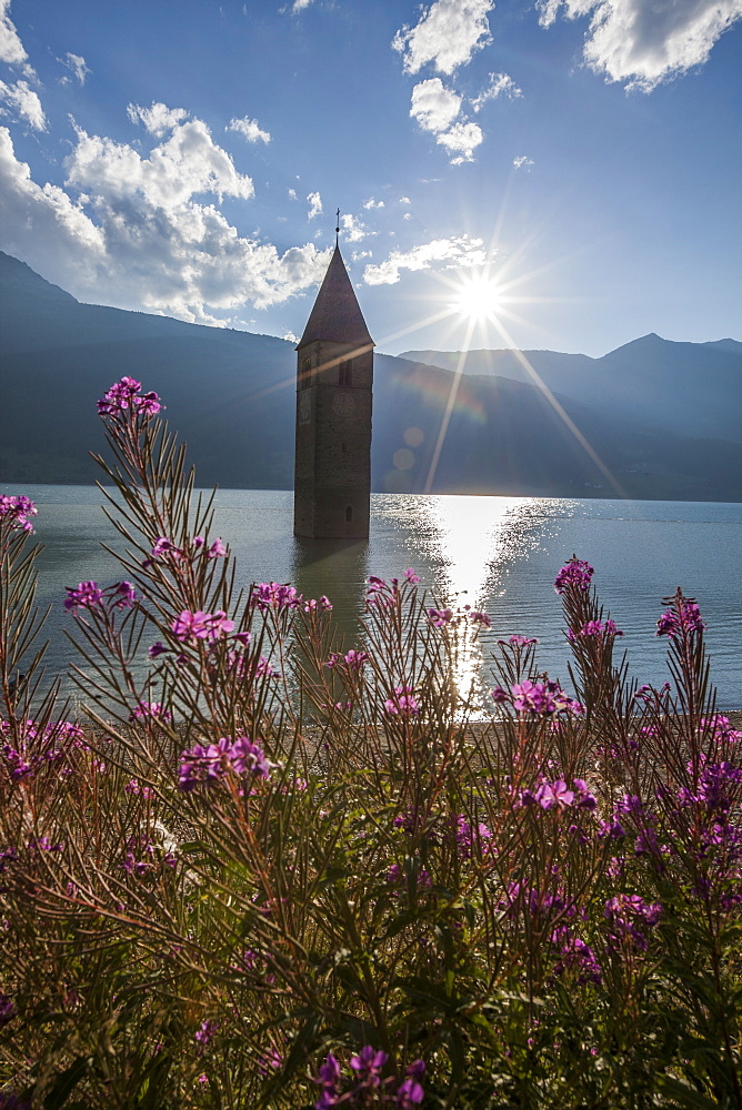 Campanile nel Lago di Resia, rising above Lago di Resia  (Reschensee) (Lake Reschen), a reservoir beneath which are the submerged hamlets of Arlung, Piz, Gorf and Stockerhofe, South Tyrol, Italy, Europe