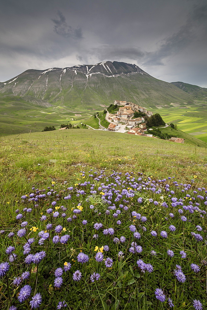 Colorful flowers in bloom frame the medieval village, Castelluccio di Norcia, Province of Perugia, Umbria, Italy, Europe