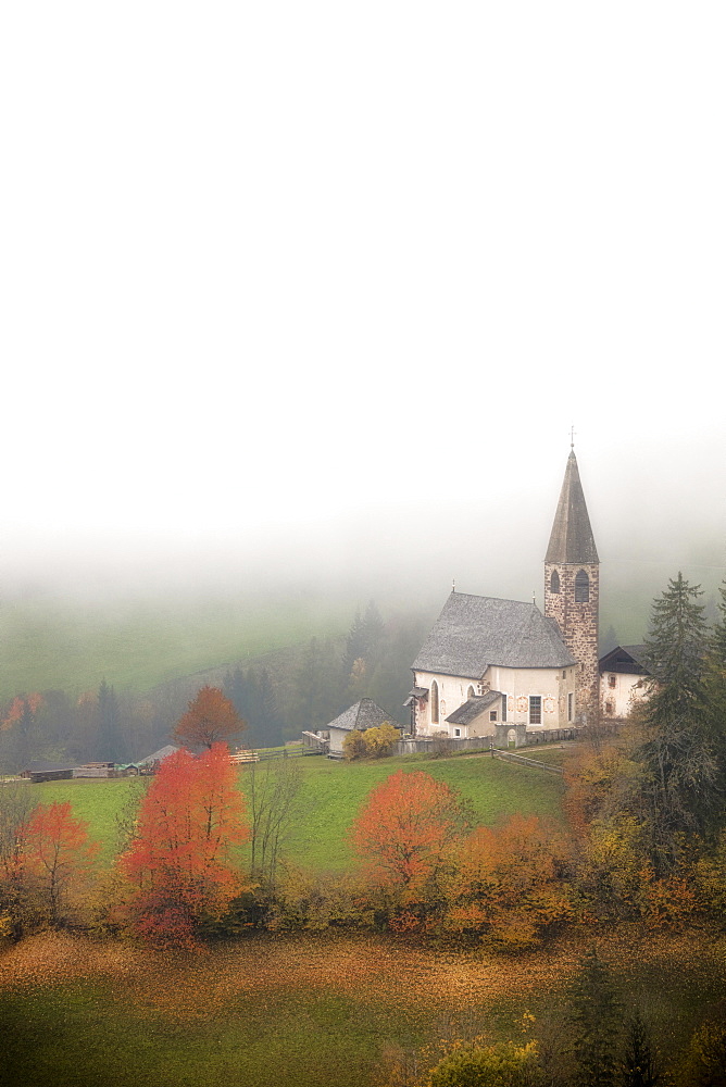 Mist and colourful trees surround the alpine church in the fall, St. Magdalena, Funes Valley, South Tyrol, Dolomites, Italy, Europe