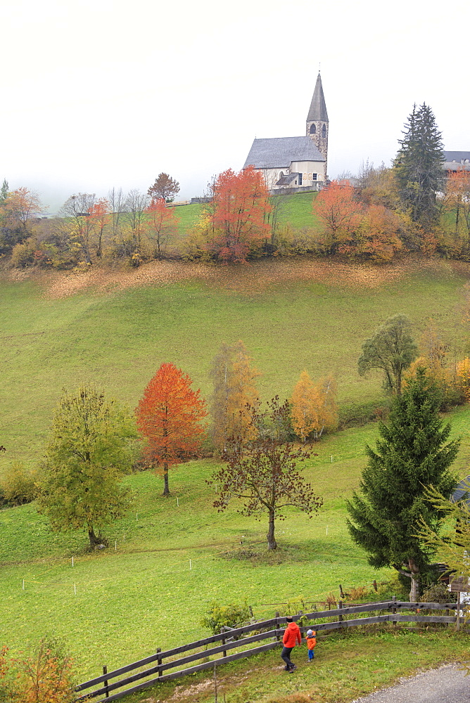 Mist and colourful trees surround the alpine church in the fall, St. Magdalena, Funes Valley, South Tyrol, Dolomites, Italy, Europe